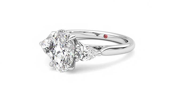 Taylor & Hart Affinity Oval Engagement Ring 360 degree image 25