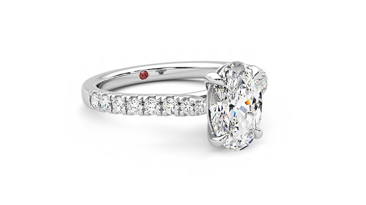 Taylor & Hart Aurora Oval Engagement Ring 360 degree image 5