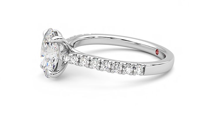 Taylor & Hart Aurora Oval Engagement Ring 360 degree image 22