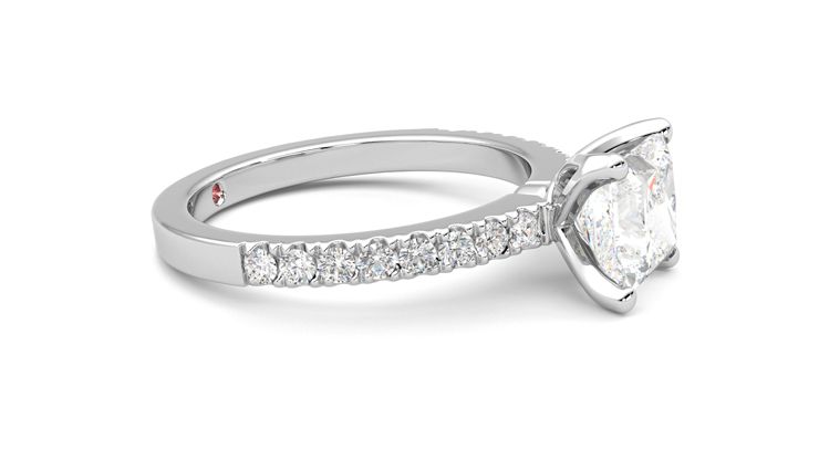 Taylor & Hart Constellation Princess Engagement Ring 360 degree image 8