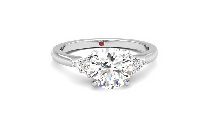 Taylor & Hart Divinity Round Engagement Ring 360 degree image 2