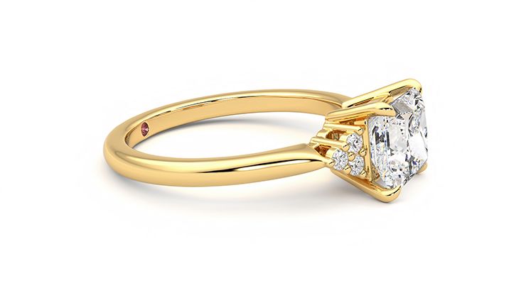 Taylor & Hart Divinity Princess Engagement Ring 360 degree image 8