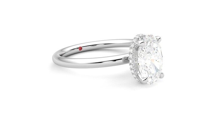 Taylor & Hart Whisper Oval Engagement Ring 360 degree image 6